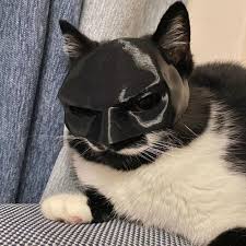 Bat-Man Cat Mask